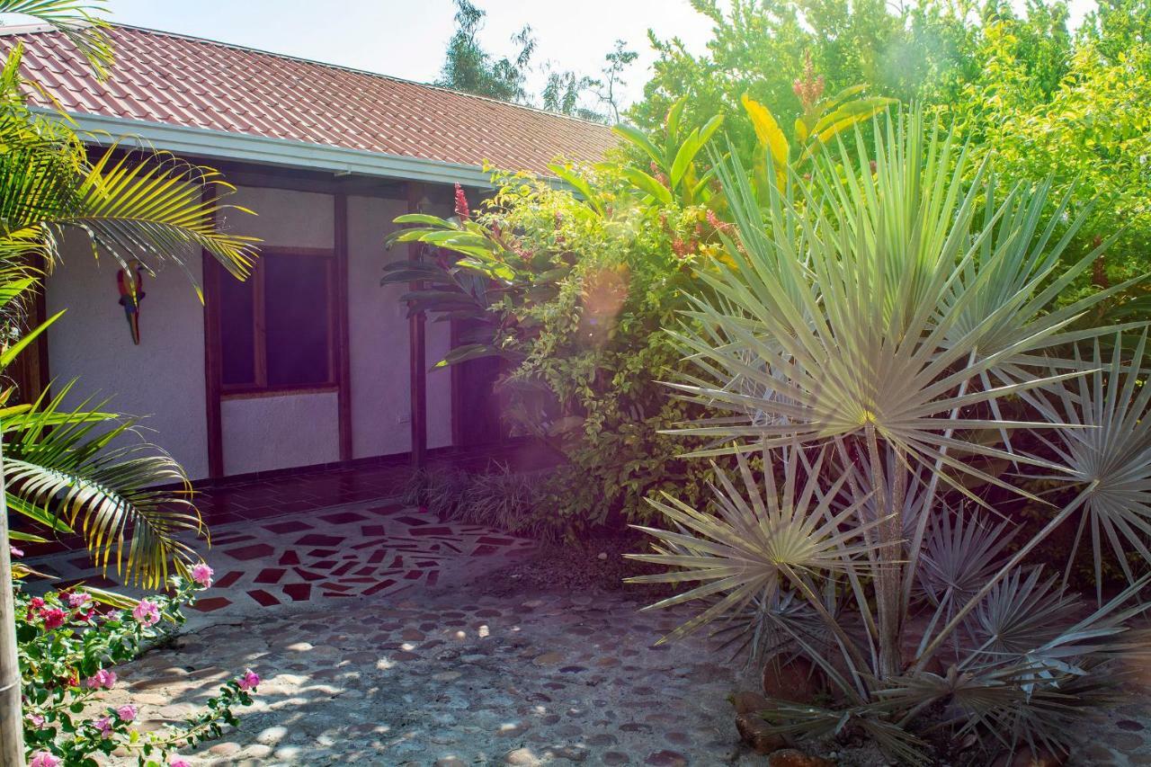 Hostal El Ruby Villavieja Εξωτερικό φωτογραφία